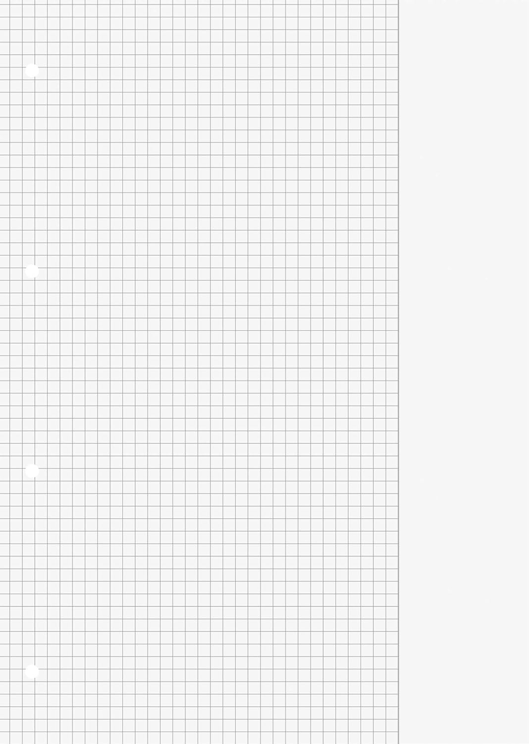 Schulblock Premium | A4, Lineatur 26, 50 Blatt, grau