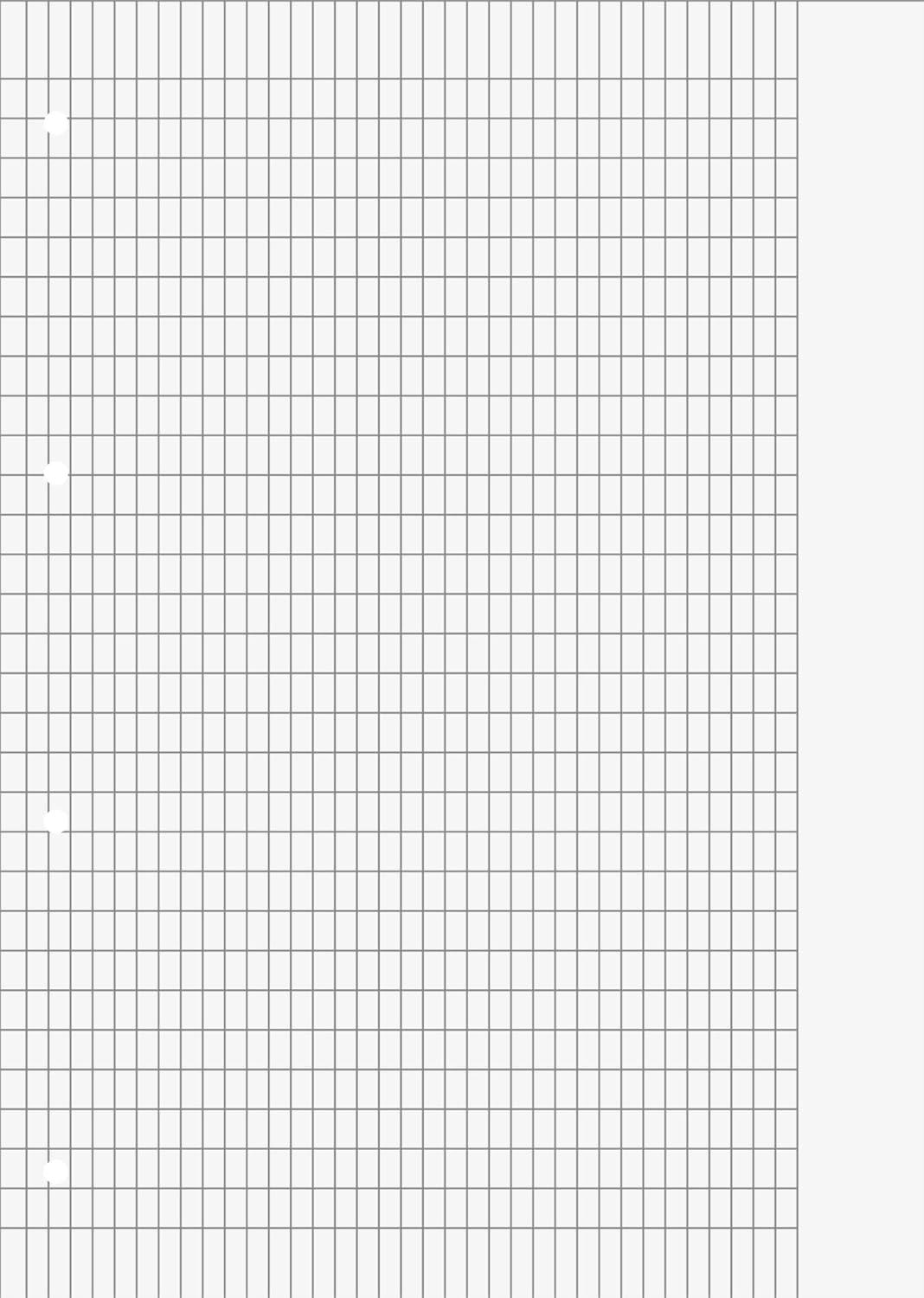 Schulblock Premium | A4, Lineatur 8f, 50 Blatt, grau